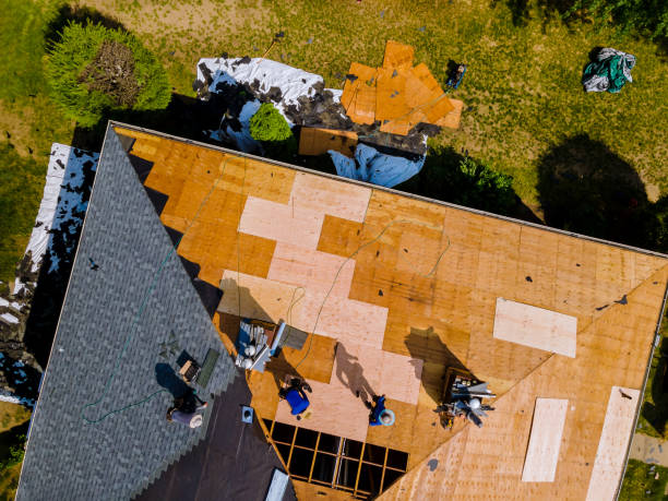 Best Roof Maintenance Services  in Palestine, IL