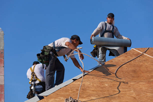 Best Roofing Contractors for Homes  in Palestine, IL
