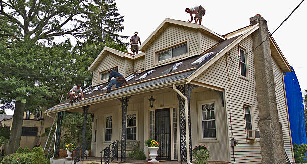 Best Roof Maintenance Services  in Palestine, IL